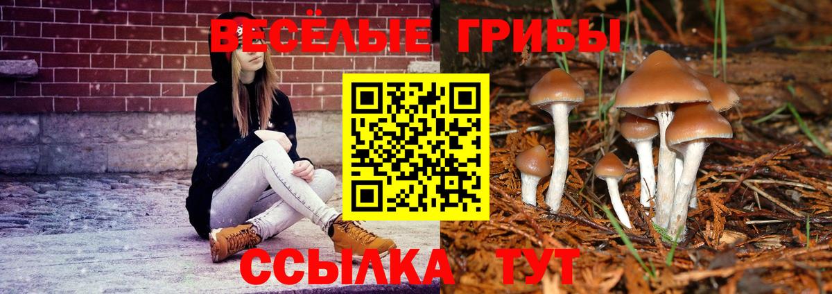Псилоцибиновые грибы Psilocybine cubensis Семилуки