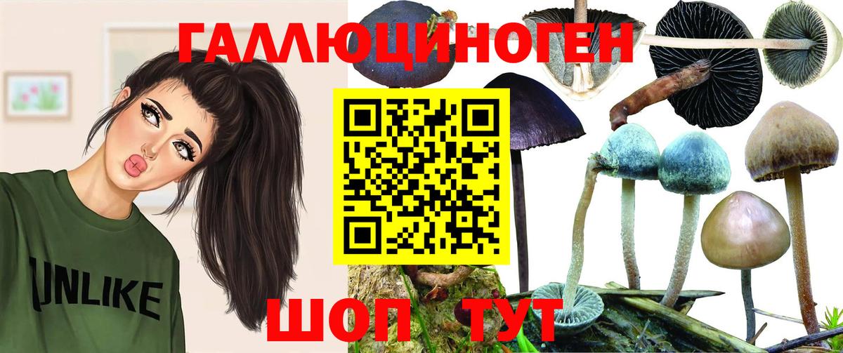 Семилуки  Псилоцибиновые грибы MAGIC MUSHROOMS  Вход с VPN  Псилоцибиновые грибы MAGIC MUSHROOMS 